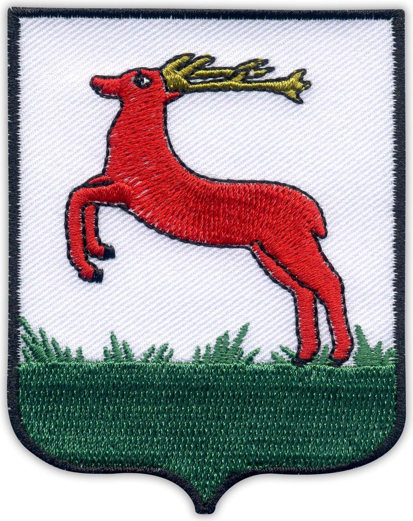 Patchion Coat of arms of the City of Pila - Magnetic Backing - Embroidered Patch/Badge/Emblem