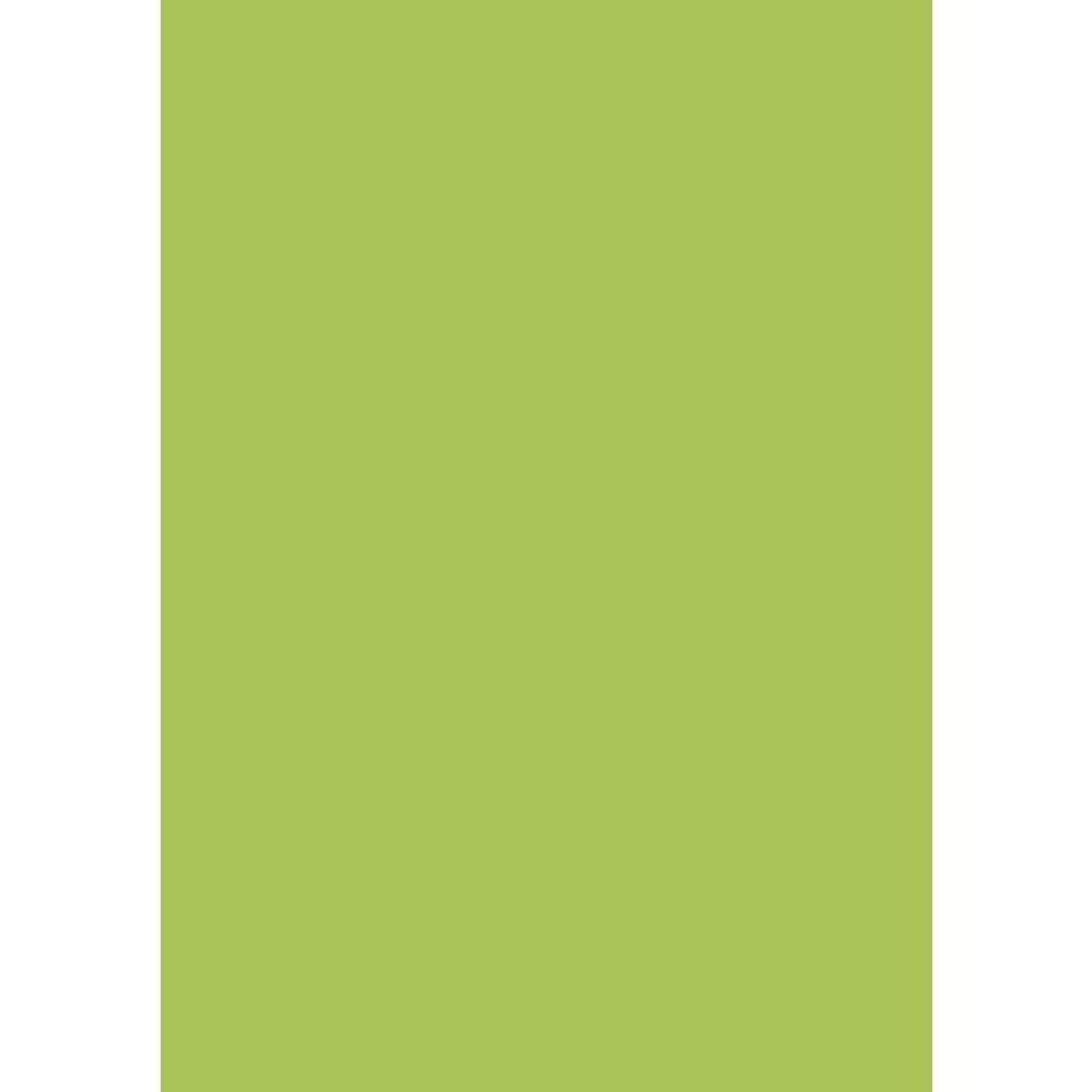 HEYDA 203160052 Plakatkarton Standardfarben 48 x 68 cm maigrün