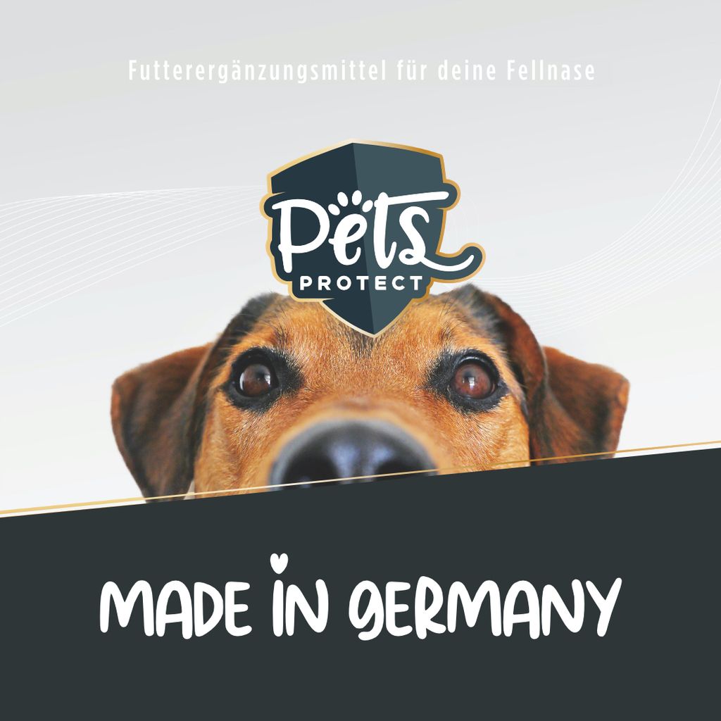 Pets Protect WELPEN KAUKNOCHEN | Fr Hunde-Welpen ab der 8.