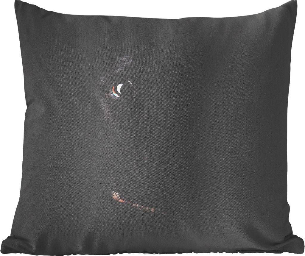 MuchoWow Zierkissen Sofakissen Wohnzimmer Dekokissen 45x45 cm Ein schwarzer Labrador Retriever auf schwarzem Hintergrund - Schlafpolster - Polste...
