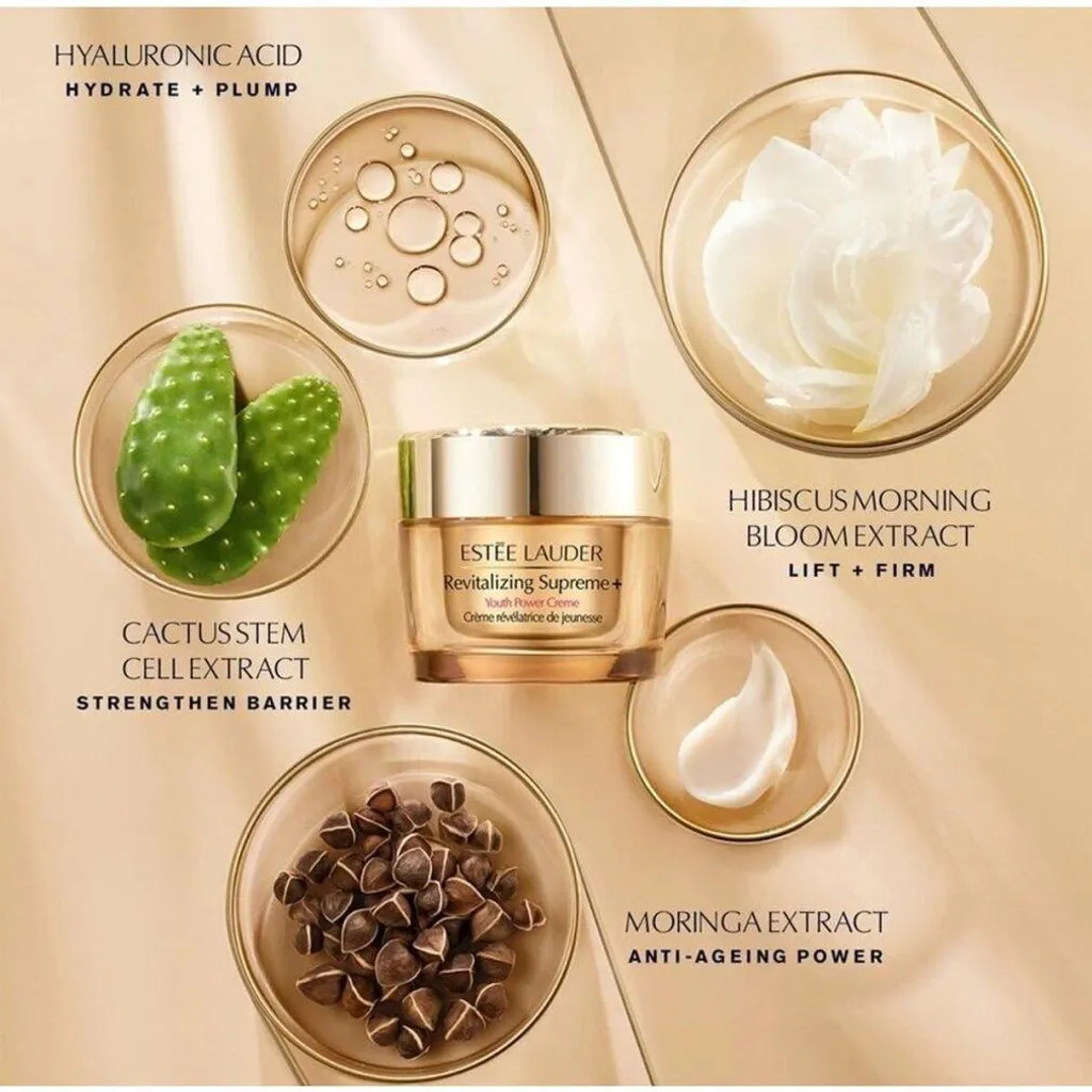Set de Soins Visage Estée Lauder Resilience Programme Fermeté et Éclat