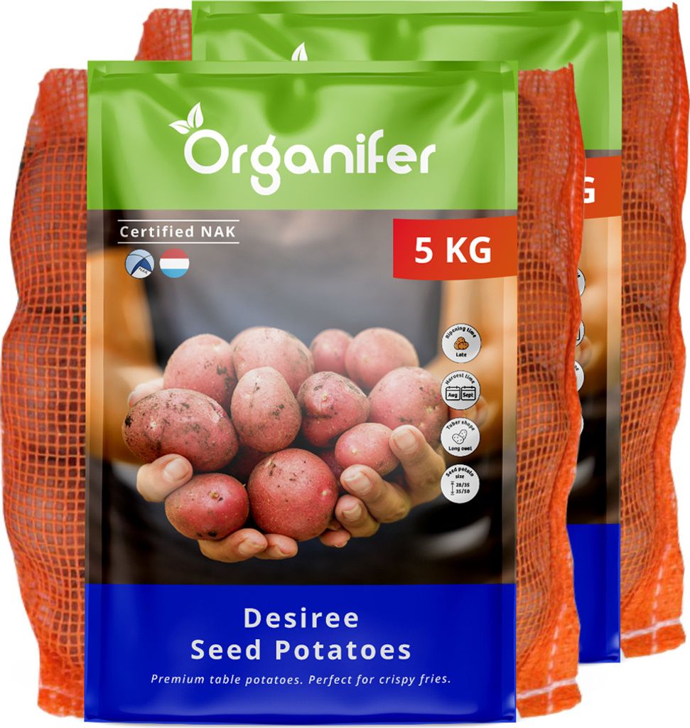 Saatkartoffeln Desiree A 28/35 (10 kg) - Organifer