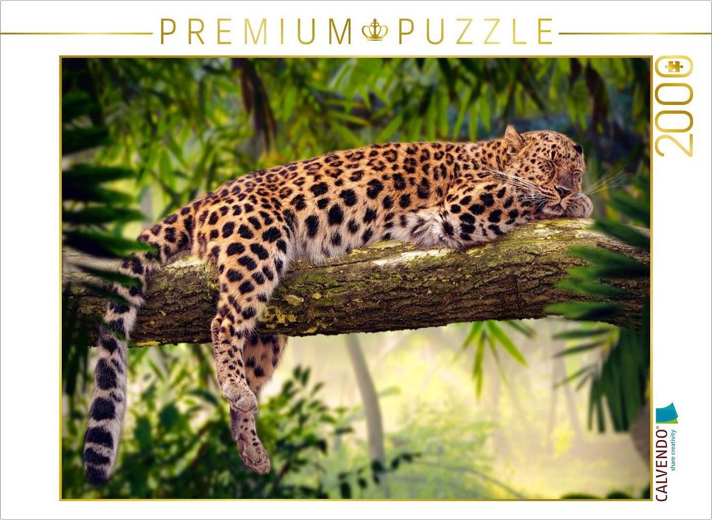 CALVENDO Puzzle Leopard mit Auszeit auf einem Baum | 2000 Teile Lege-Größe 90x67cm Foto-Puzzle für glückliche Stunden