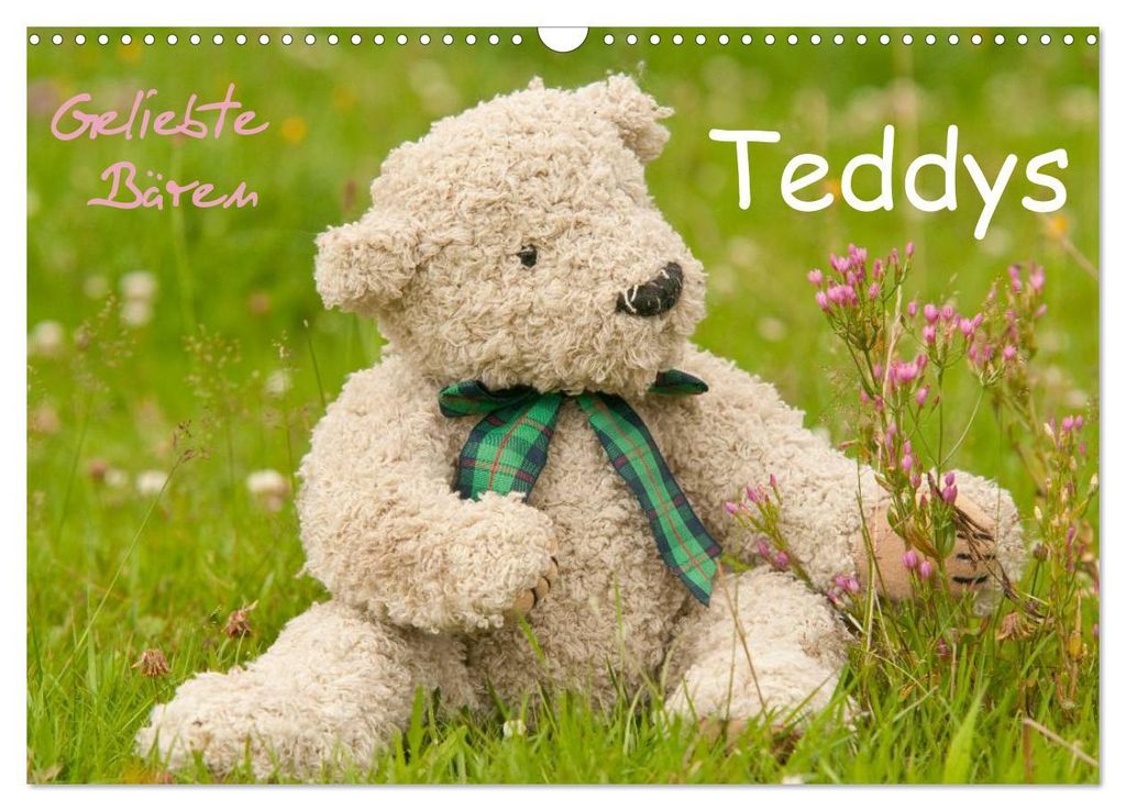 Geliebte Bären - Teddys (Wandkalender 2027 DIN A3 quer), CALVENDO Monatskalender