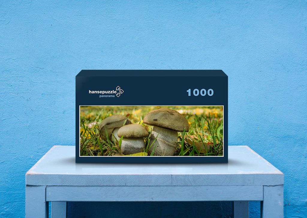 hansepuzzle 40717 - Pilze Puzzle, 1050 Teile, Ernährung, 60,0 x 46,0cm mit hochwertiger Aufbewahrung, Kartonbox und wiederverschließbarem Beutel