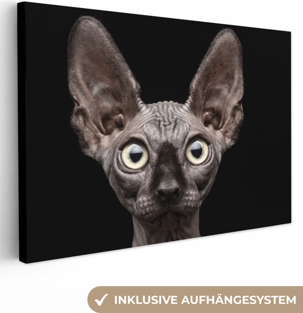 OneMillionCanvasses - Leinwandbilder - 140x90 cm, Katze - Haustiere - Porträt - Schwarz, Wandbilder Kunstdruck Wanddekoration - Foto auf Leinwan...