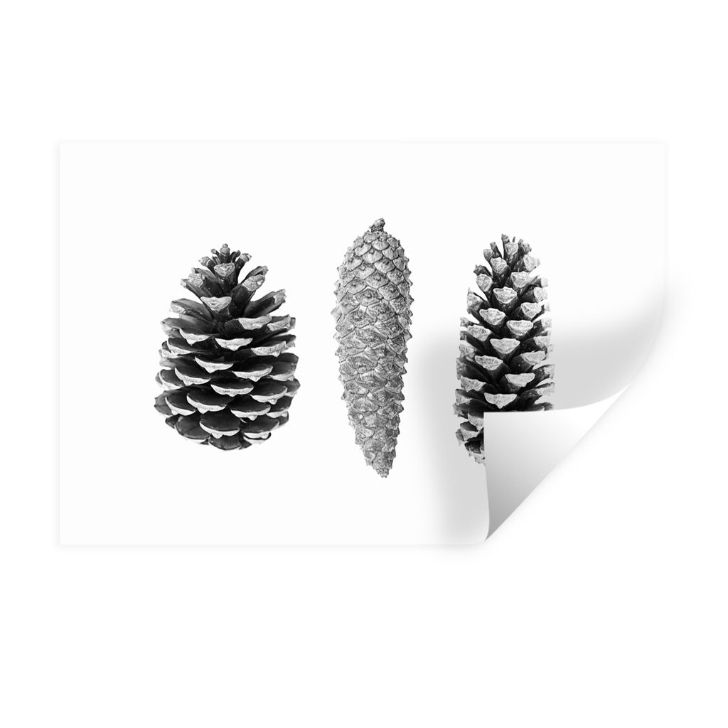 MuchoWow Wandtattoo Wandsticker Wandaufkleber Tannenzapfen - Natur - Schwarz und Weiß - Herbst 60x40 cm Selbstklebend und Repositionierbar - Wie...