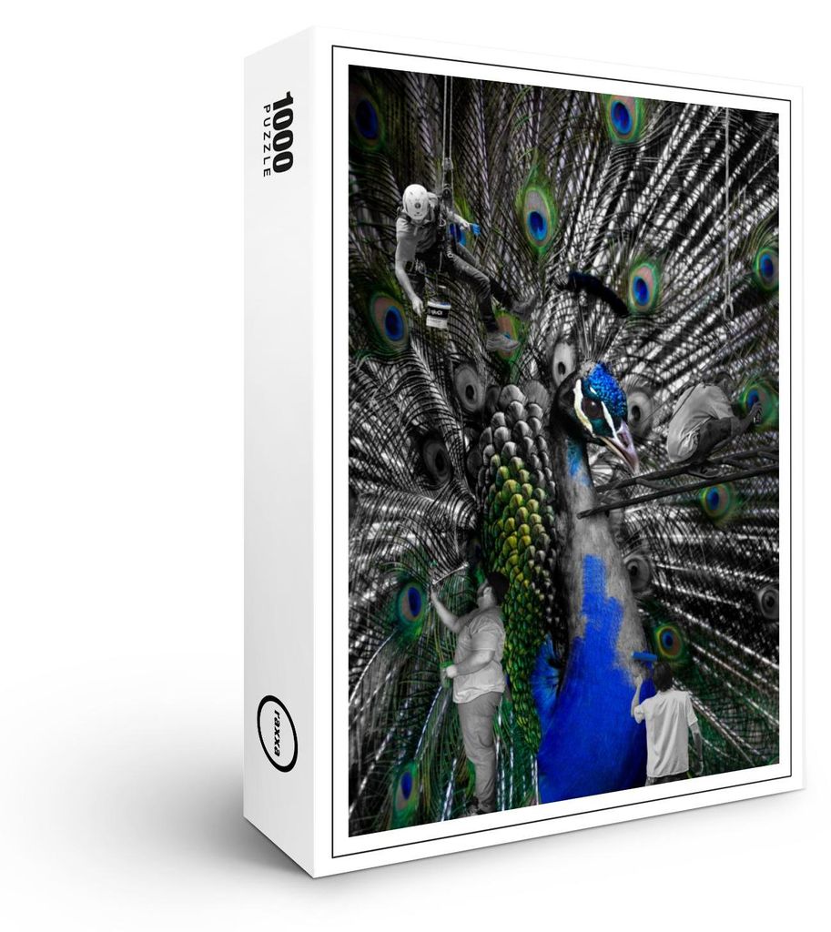 raxxa Premium-Puzzle "Mal dir die Welt bunt", 1000 Teile