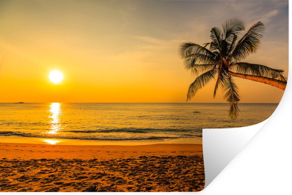MuchoWow Wandtattoo Wandsticker Wandaufkleber Palme - Strand - Sonnenuntergang - Meer 120x80 cm Selbstklebend und Repositionierbar - Selbstkleben...