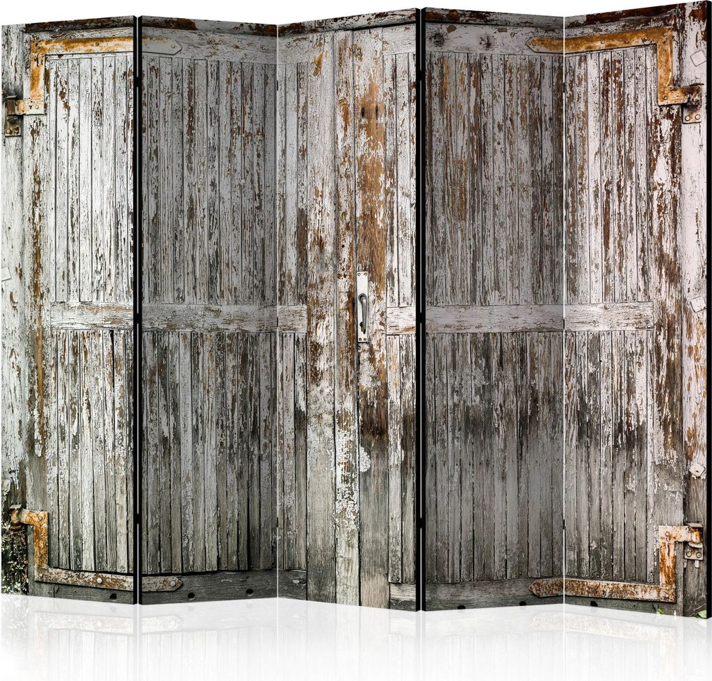 5-teiliger Doppelseitiger Vlies Paravent - The whispering door II 225x172 cm Abstrakt f-A-0356-z-c