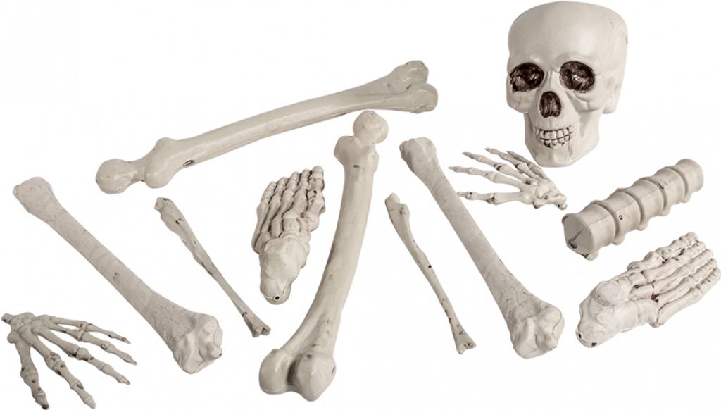 Knochen Set 12teilig als Halloween Deko