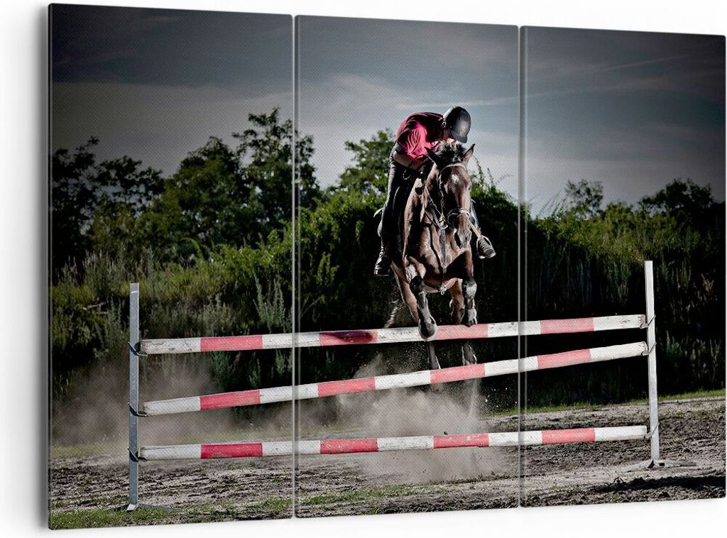 Bild auf Leinwand - Leinwandbild - Pferd Sport Hindernisse Himmel - 165x110cm - Wand Bild - Wanddeko - Leinwanddruck - Bilder - Kunstdruck - Leinwa...