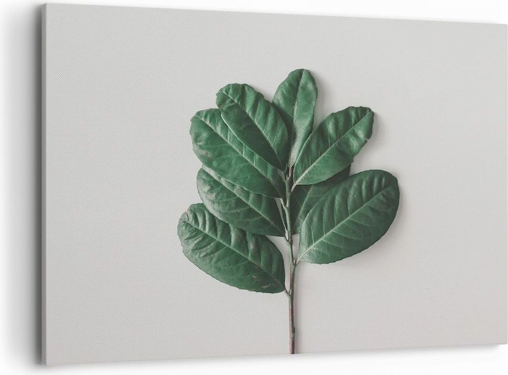 Bild auf Leinwand - Leinwandbild - Einteilig - Blätter Pflanzen Botanik - 100x70cm - Wand Bild - Wanddeko - Wandbilder - Leinwanddruck - Bilder - ...