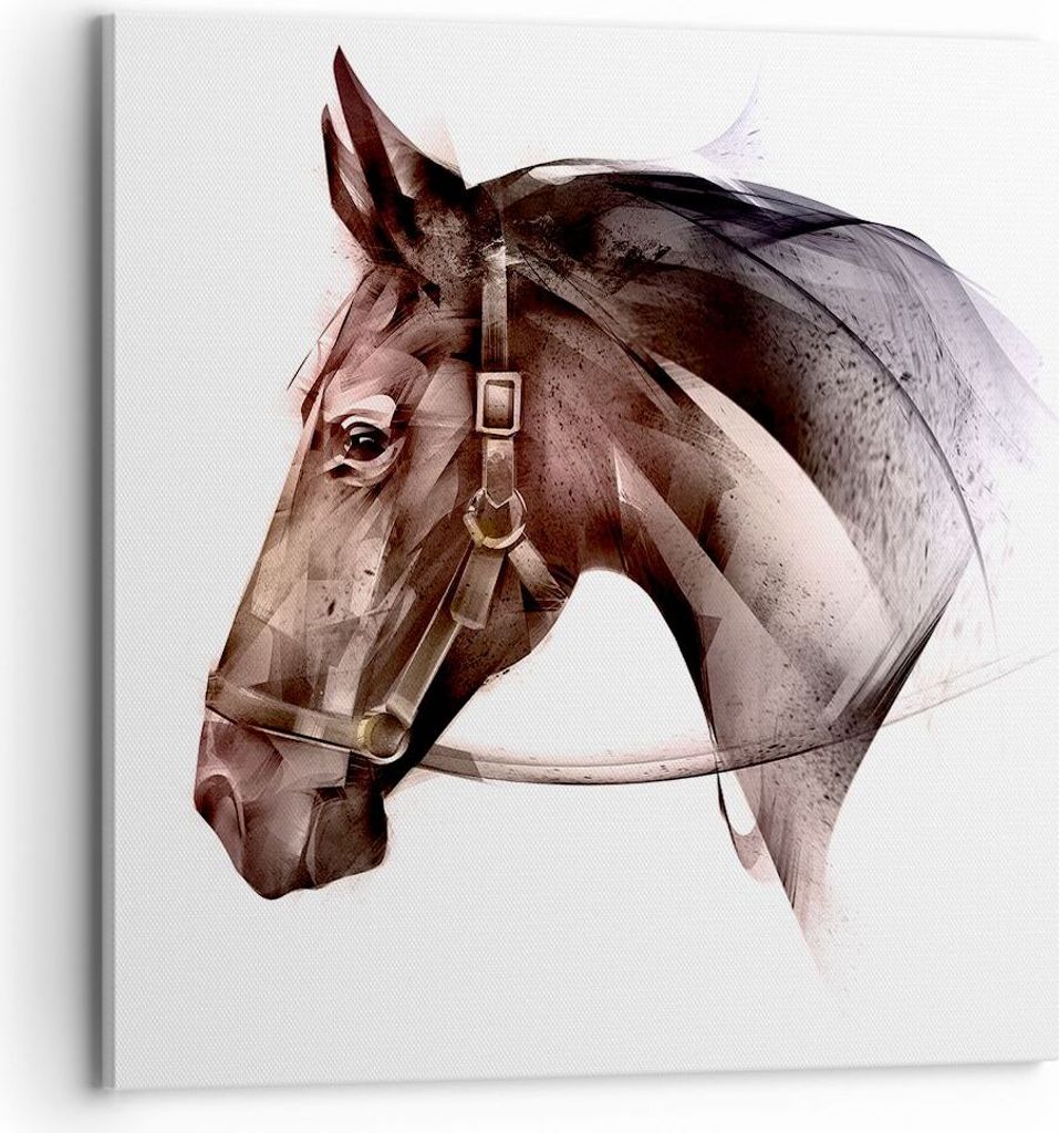 Bild auf Leinwand - Leinwandbild - Pferd Abstraktion - 70x70cm - Wand Bild - Wanddeko - Wandbilder - Leinwanddruck - Bilder - Kunstdruck - Wanddeko...