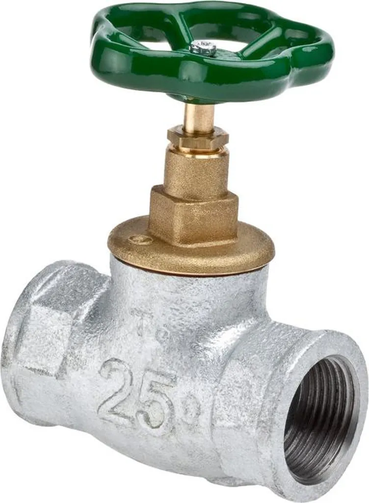 Robinet-vanne de sectionnement fonte malléable 1 1/4 pouce Viking M83