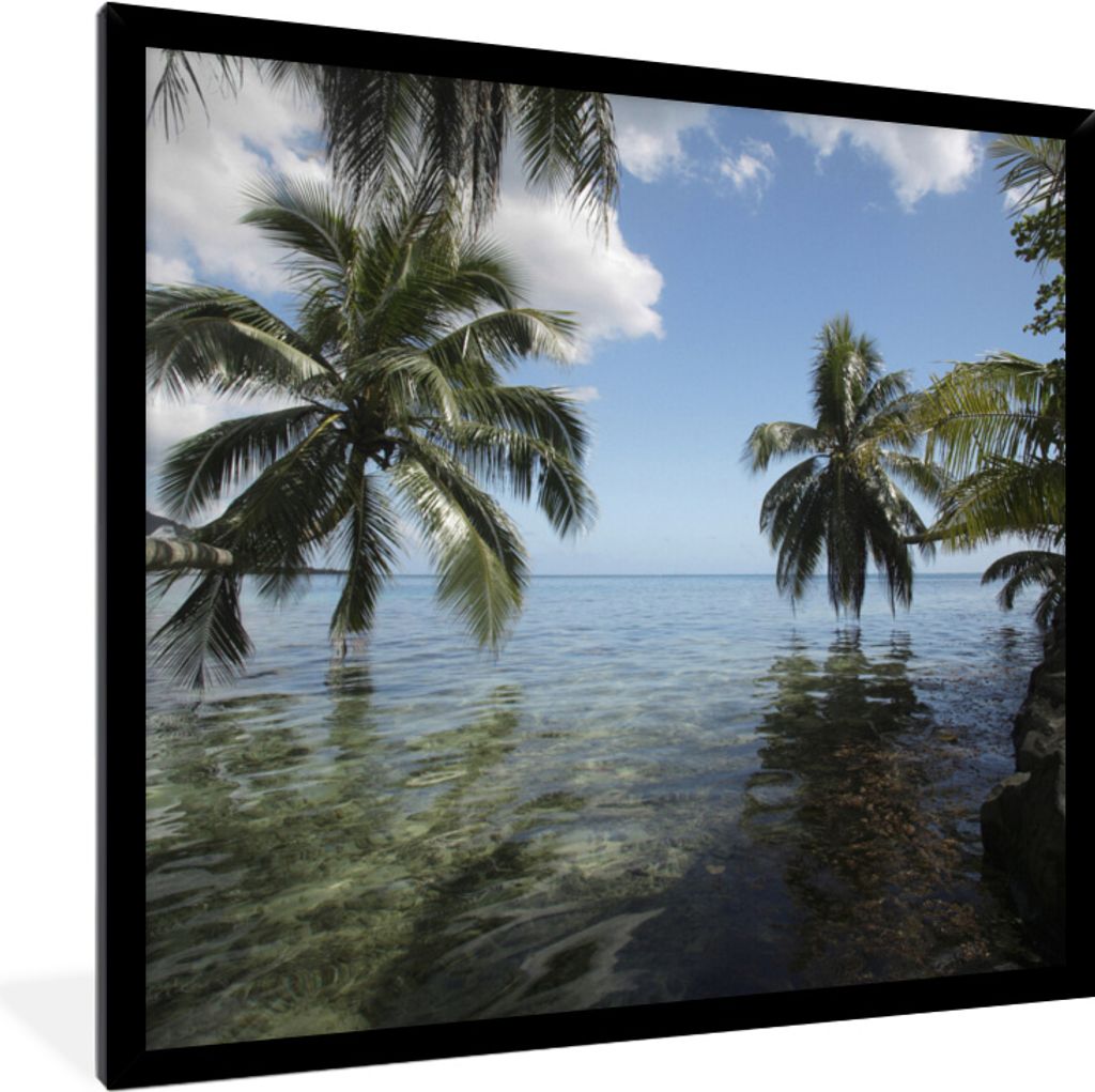 MuchoWow MuchoWow Gerahmtes Poster Spiegelung der Palmen im Meer von Mo'orea 40x40 cm - Poster mit zchwarzem Bilderrahmen - Mit Rahmen - Wandde...