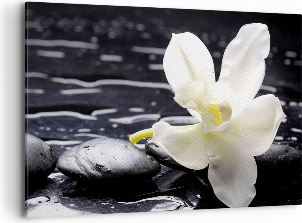 Bild auf Leinwand - Leinwandbild - Spa Orchidee Steine Wasser - 120x80cm - Wand Bild - Wanddeko - Leinwanddruck - Bilder - Kunstdruck - Wanddekorat...