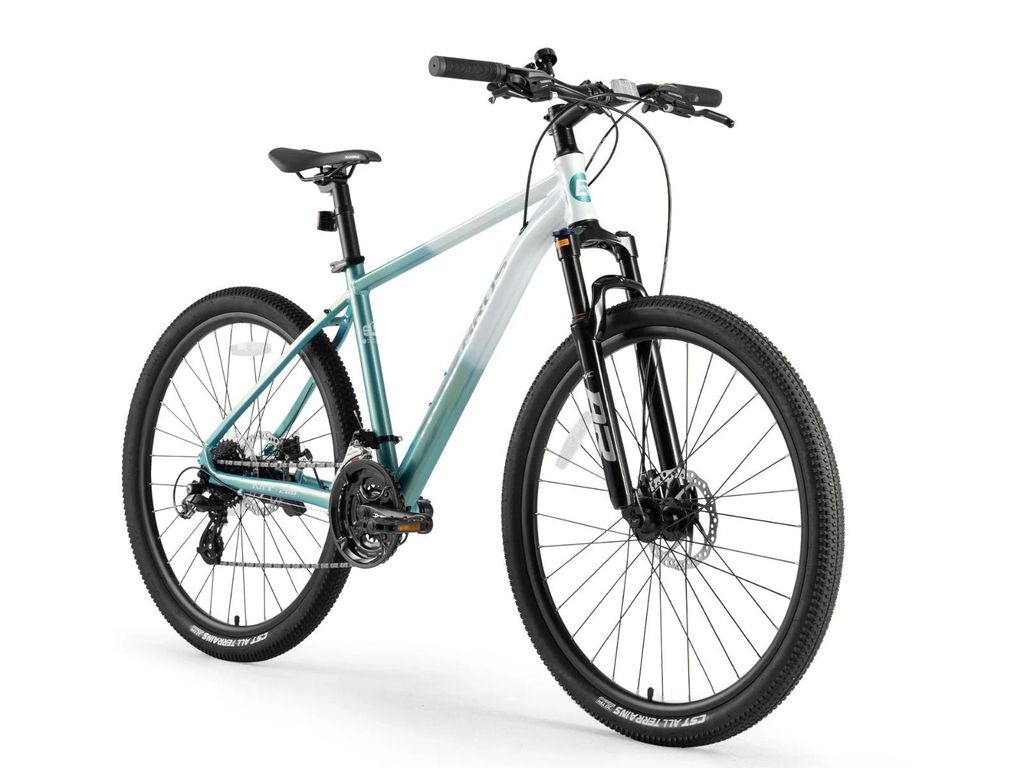 ROCKBROS MT200 Fahrrad 27,5 Zoll Scheibenbremse mit 24 Gang(3*8) MTB 16 Zoll Rahmen Grün