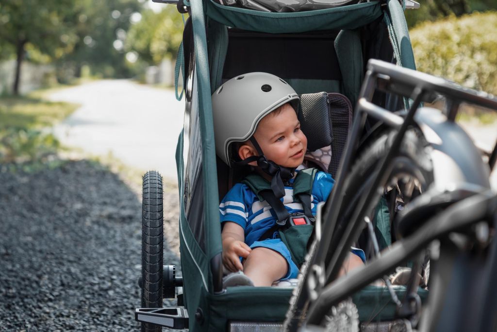 Qeridoo Kidgoo 1 - Kinderfahrradanhänger für 1 Kind, Farbe: Produktbild 