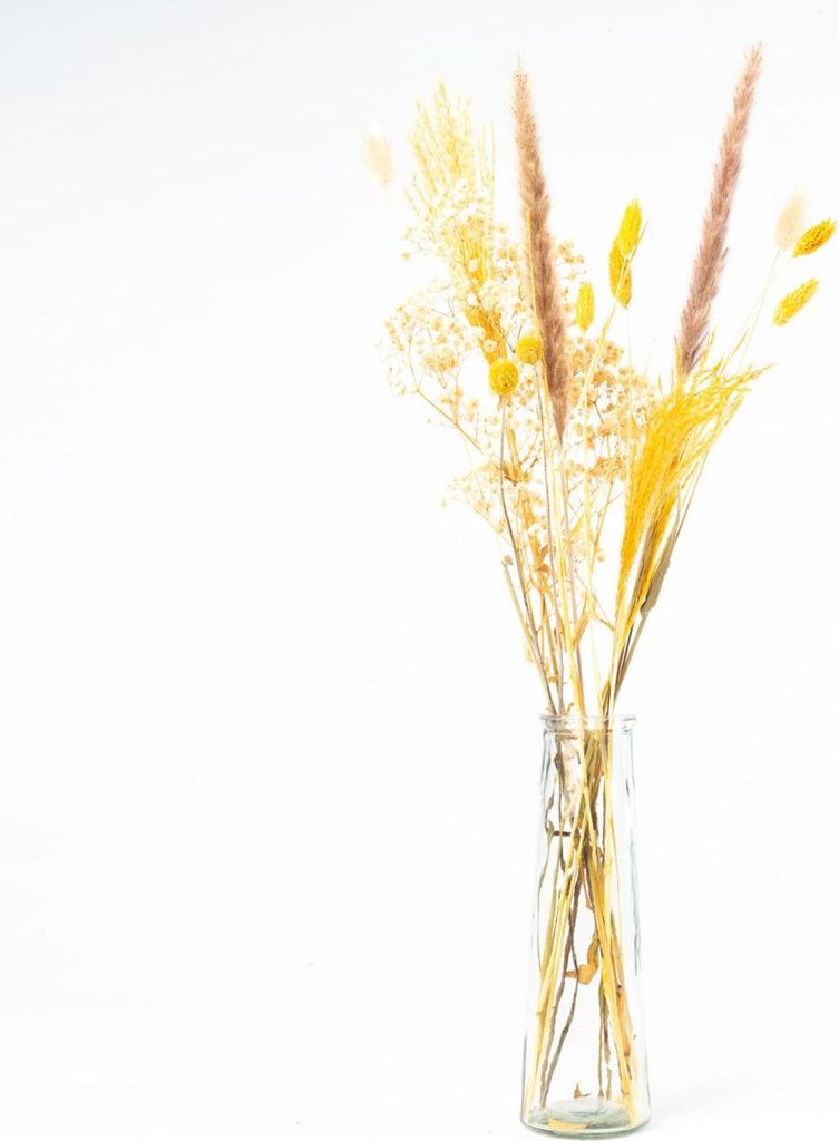 artplants.de Trockenblumen mit Flasche LOTTCHEN, braun, 77 cm, Ø15 cm - getrockneter Blumenstrauß