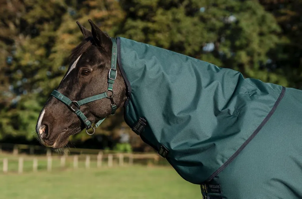 Amigo Ripstop 900D Hood 0g: Cappuccio Impermeabile per Cavalli Horseware