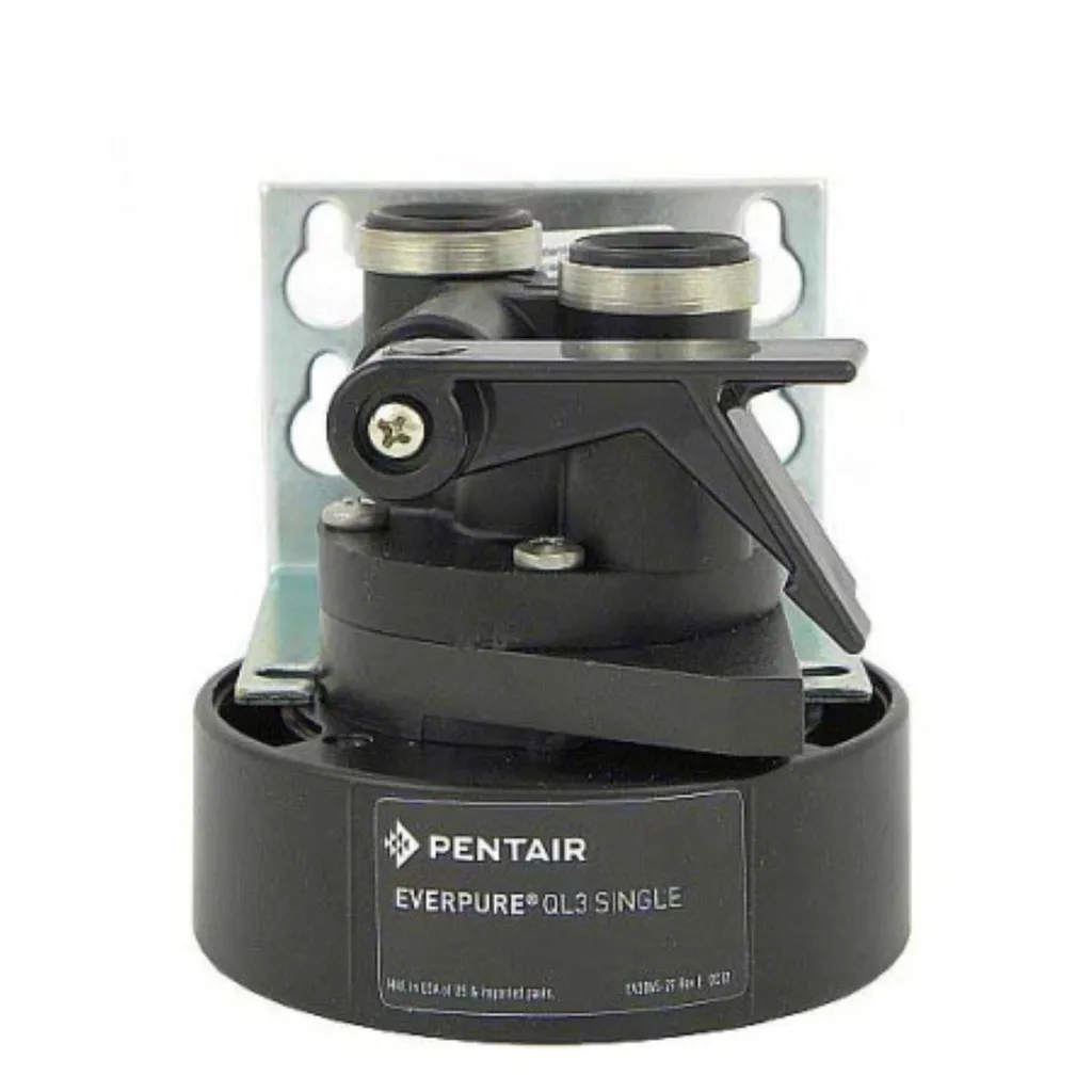 Testata Everpure QL3 EV9259-14: Migliora il tuo Impianto Acqua Casa