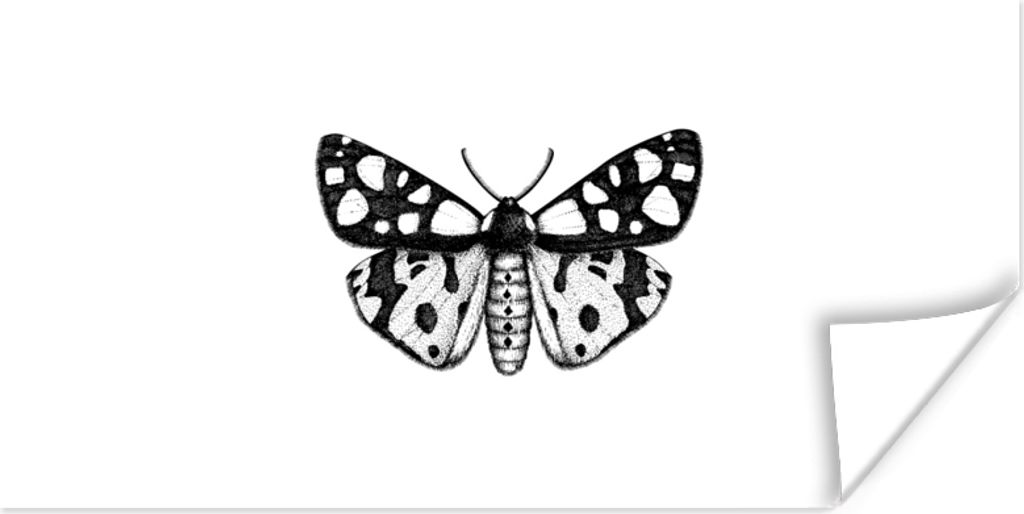MuchoWow Poster Schmetterling - Vintage - Schwarz und weiß 160x80 cm - Foto Poster