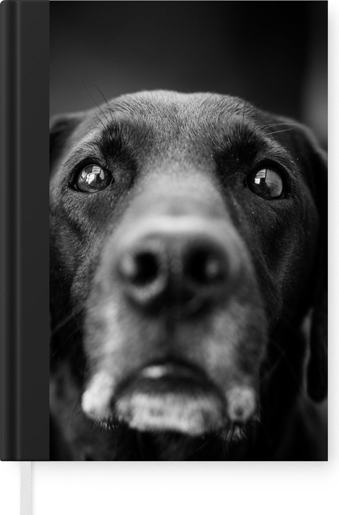 MuchoWow Notizbuch Tagebuch Haushaltsbuch Notebook A5 Tierprofil Labrador Hund in schwarz und weiß - Notizblock - Notizheft - Notebook - Schreib...