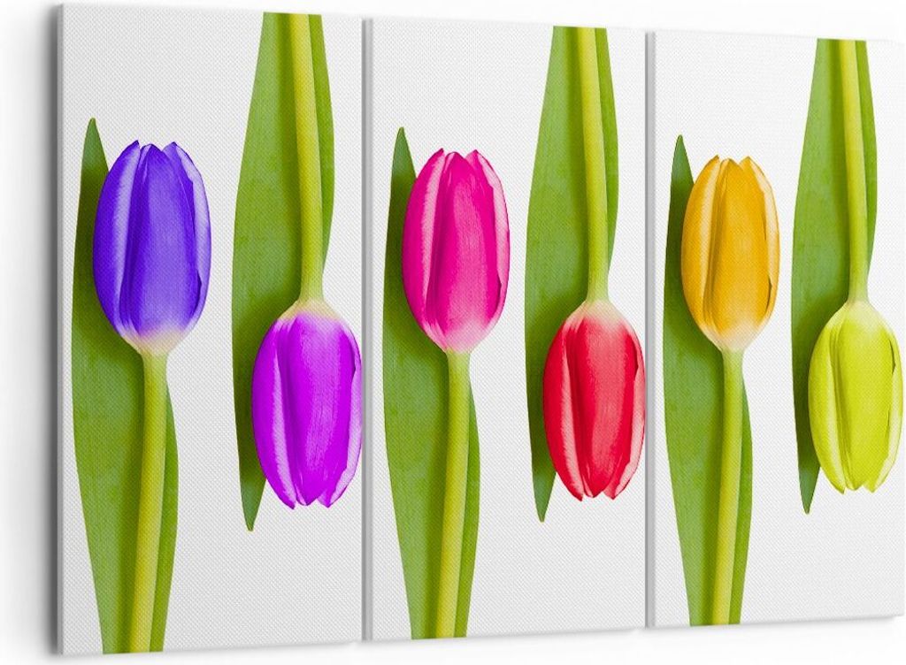 Bild auf Leinwand - Leinwandbild - Tulpe Blume Garten Komposition - 105x70cm - Wand Bild - Wanddeko - Leinwanddruck - Bilder - Kunstdruck - Wanddek...