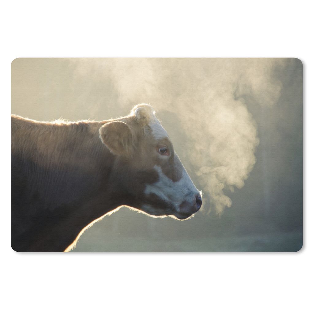 MuchoWow Schreibtischunterlage Kuh - Nebel - Sonne 60x40 cm - XXL Mauspad - Großes Mauspad
