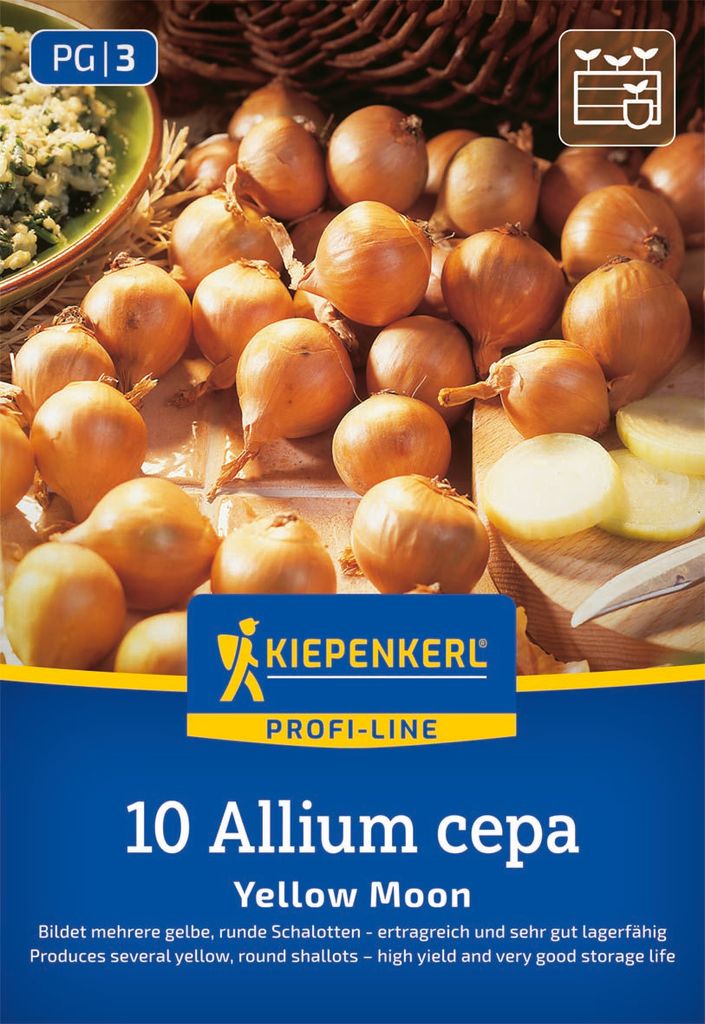 Kiepenkerl Schalotten Yellow Moon Allium cepa 10 Pflanzen