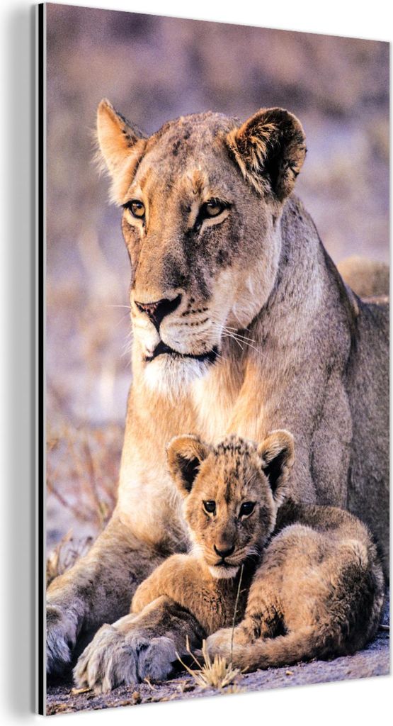 MuchoWow Wanddekoration Metall Metallbild Wandkunst 80x120 cm Löwin - Löwe - Junges MuchoWow Aluminium Gemälde - Bilder