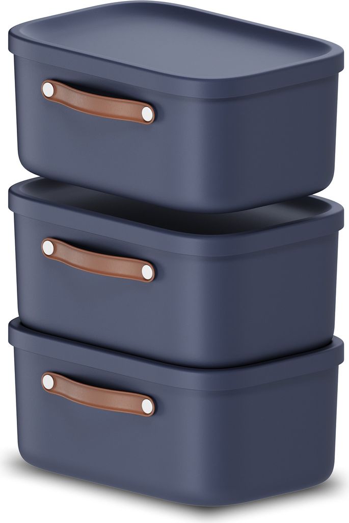 Rotho Aufbewahrungsbox 3er-Set 12L Maloja - Kunststoffbox 39,5 x 23,5 x 17,7 cm - Box mit Deckel - Stapelbox sicher verschließbar - Plastikbox