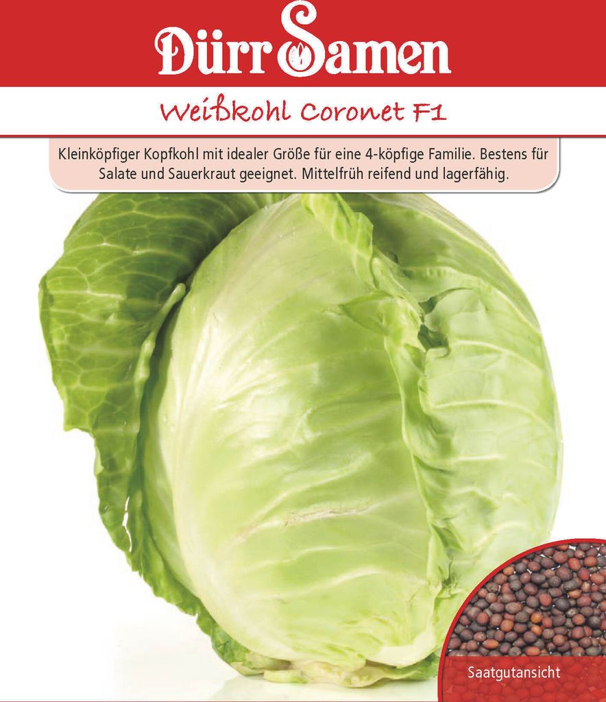 Weißkohl Coronet F1 | Kohlsamen von Dürr Samen Produktbild 