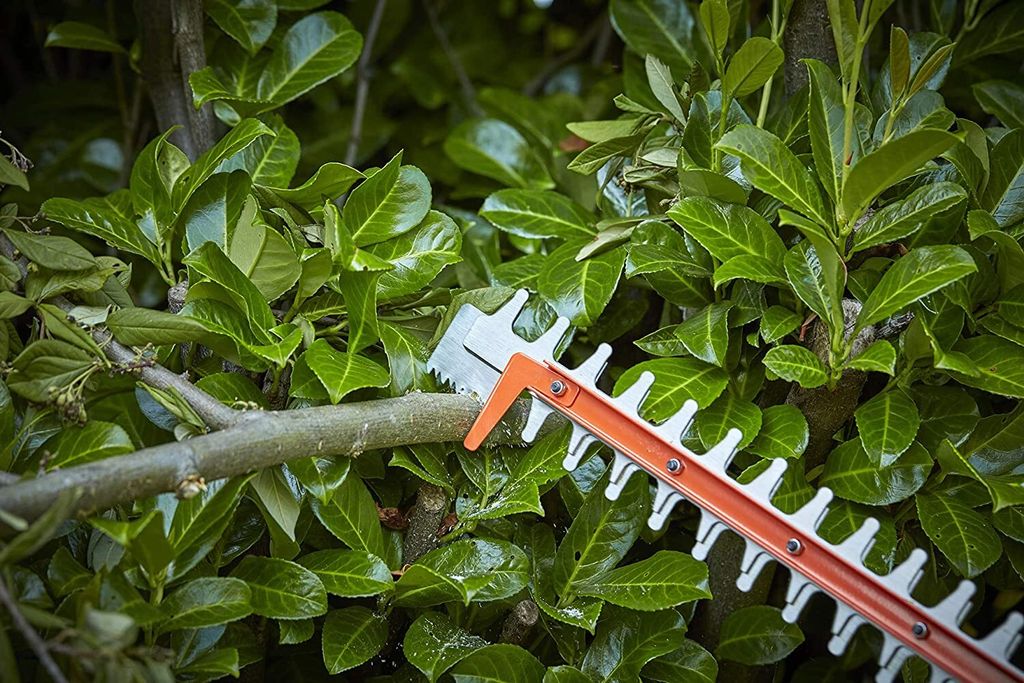 Black&Decker Akku-Heckensch,36V o.Akku,55cm,Säge BCHTS36B Image du produit 