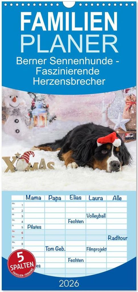 Familienplaner 2026 - Berner Sennenhunde - Faszinierende Herzensbrecher mit 5 Spalten (Wandkalender, 21 x 45 cm) CALVENDO