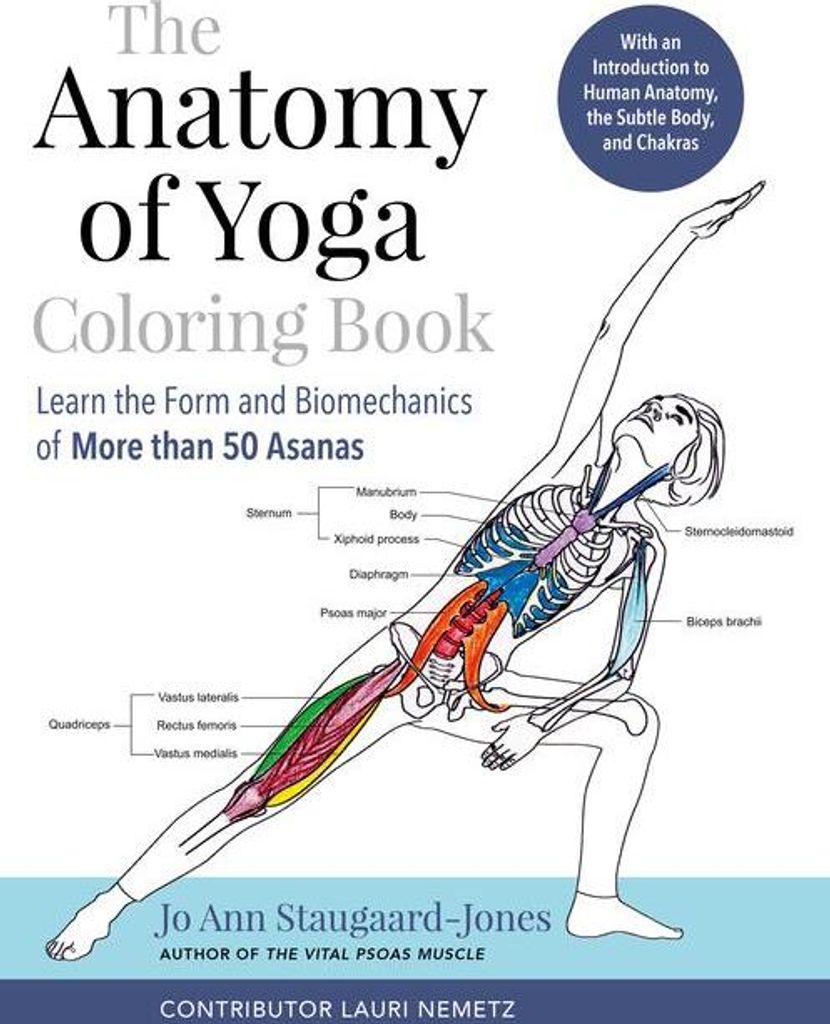 The Anatomy of Yoga Coloring Book