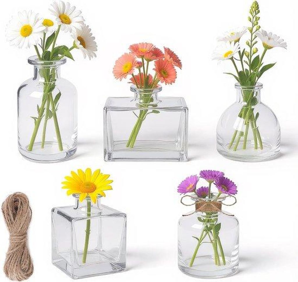 Famanu Mini-Vasen Set – 5 transparente Gläser mit Jute-Kordel