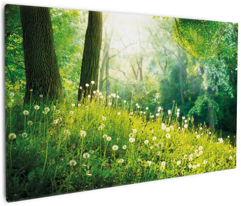 Wallario Premium Leinwandbild Pusteblumen im Wald mit einfallenden Sonnenstrahlen in Größe 60 x 90 cm