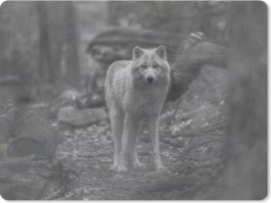MuchoWow Mauspad Mousepad Weißer Wolf im Wald in Schwarz und Weiß 23x19 cm - Mousepads - Maus Mat - Pad - Mausunterlage - Schreibtischunterlage...