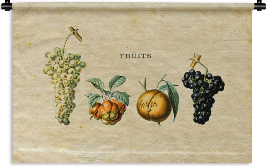 MuchoWow Wandteppich Wandbehang Obst - Weintraube - Weinlese 60x40 cm Tapisserie Dekoration Wandtuch - Wanddekorationen