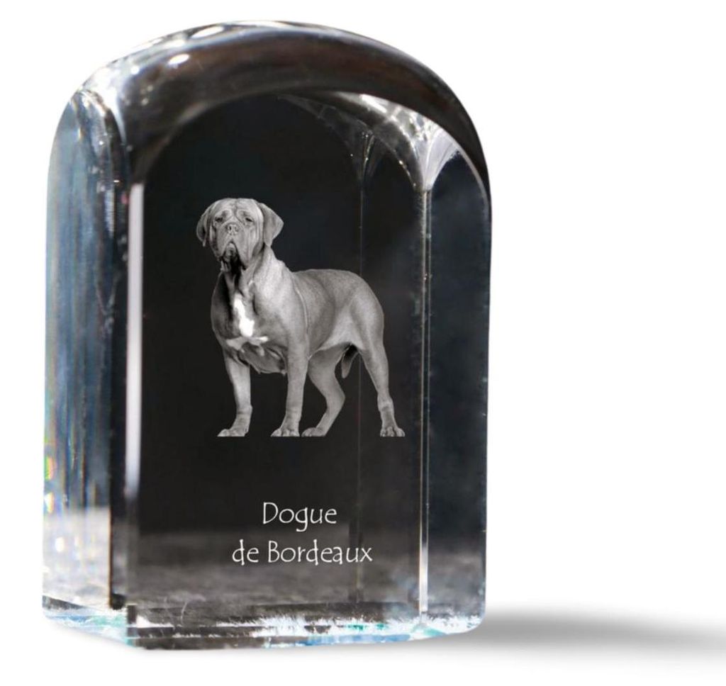 Bordeauxdogge, Dogue de Bordeaux - Kristallwürfel mit Bild, Hundebild im Kristall, sechseckiger Papierclip von Art-Dog.