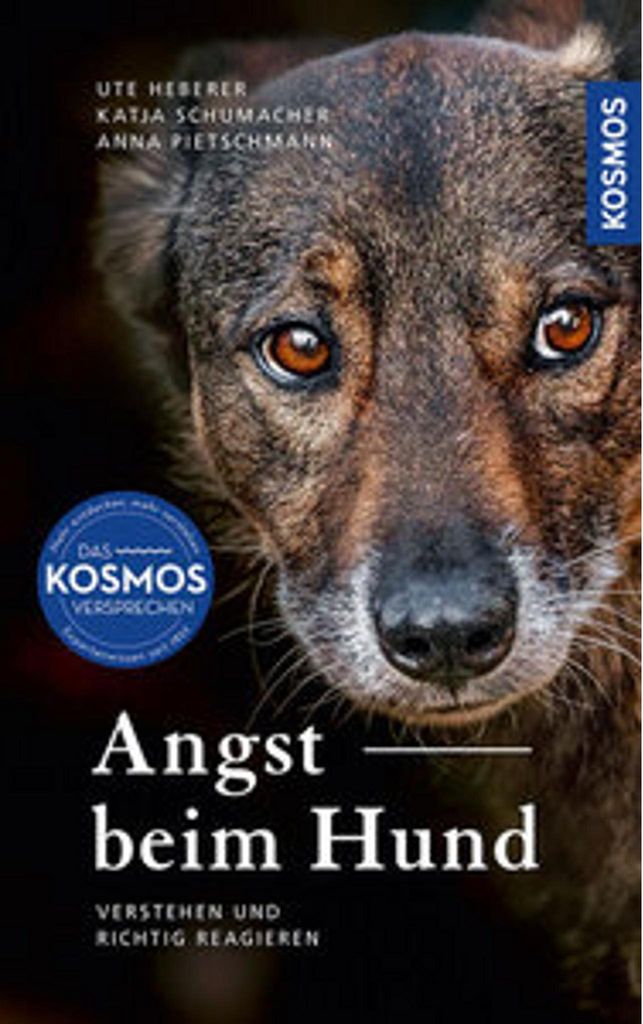 Angst beim Hund Produktbild 