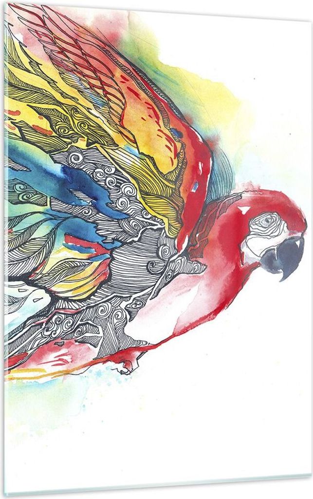 Bilder auf glas - Einteilig - Parrot Flügel Federn Natur - Produktbild 
