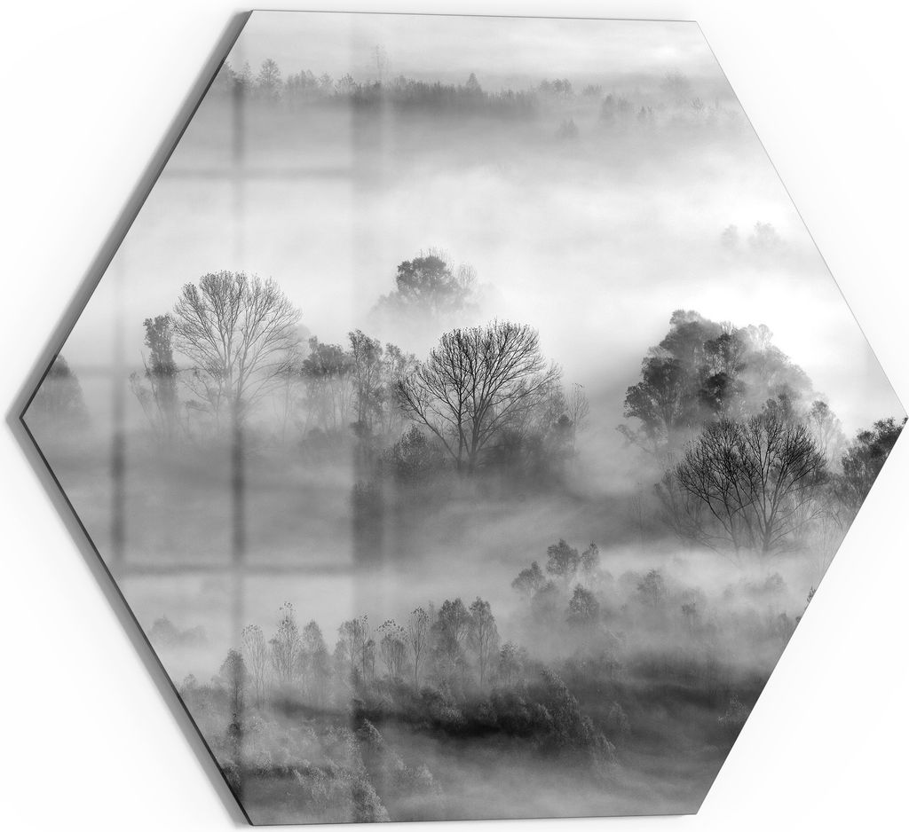DEQORI Glasbild Echtglas 55x48 cm 'Nebelgeflüster' Wandbild Bild modern Deko