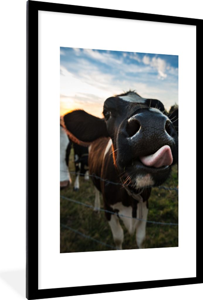 MuchoWow Gerahmtes Poster Kuh - Tiere - Natur - Ausgezeichnete Zunge 60x90 cm - Poster mit Schwarzem Bilderrahmen Wandposter Rahmen Foto Bilder -...