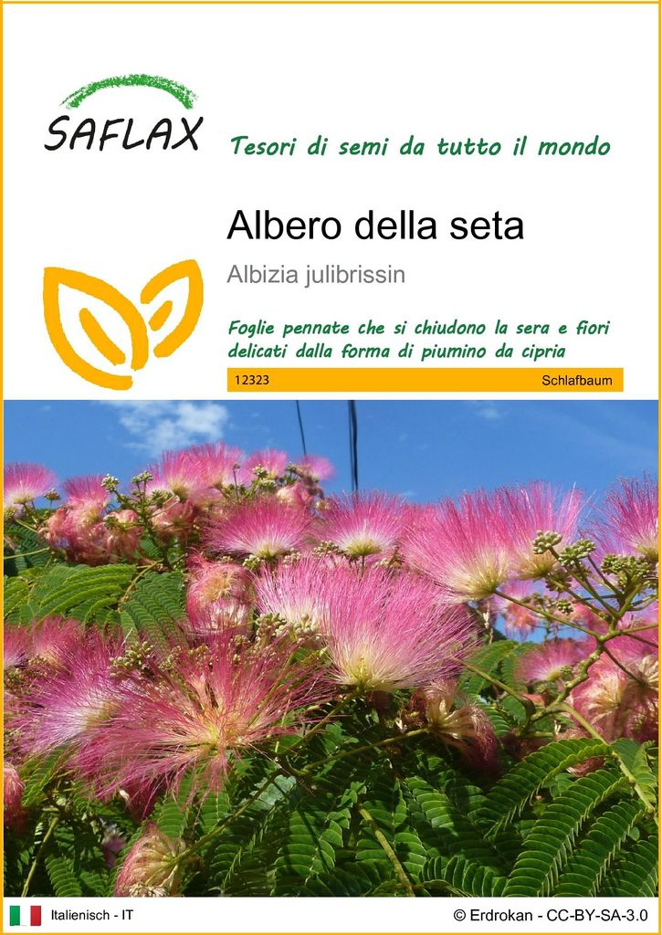 SAFLAX  - Albero della seta - 50 semi - Albizia Immagine del prodotto 