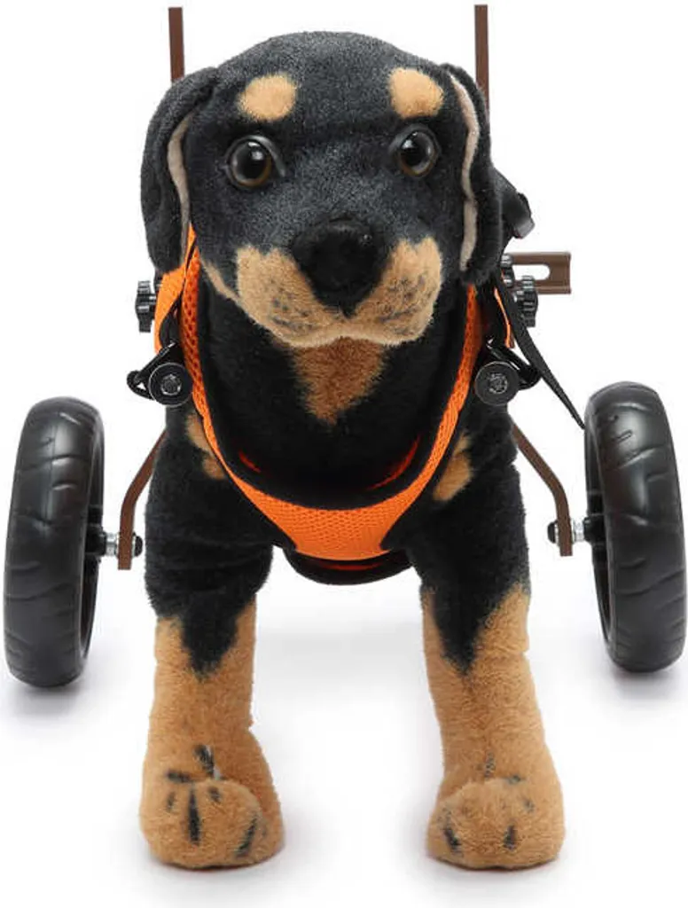 Solution Mobilité Chien Handicapé : Déambulateur Réglable à deux Roues - 3