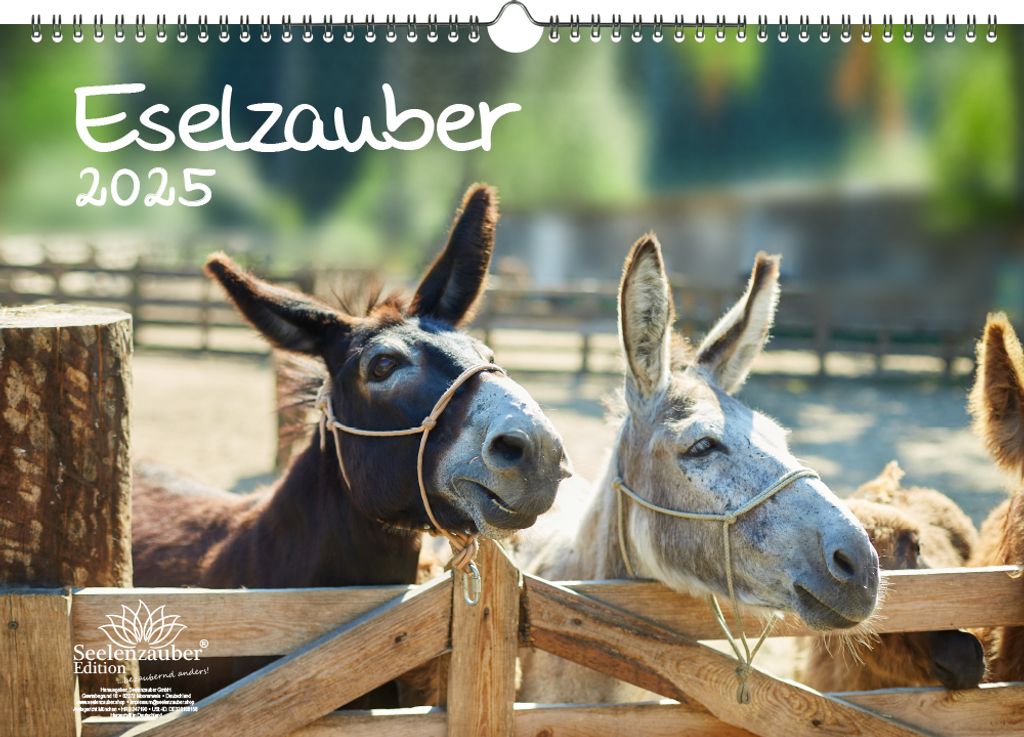 Eselzauber DIN A3 Kalender für 2025 Esel - Seelenzauber