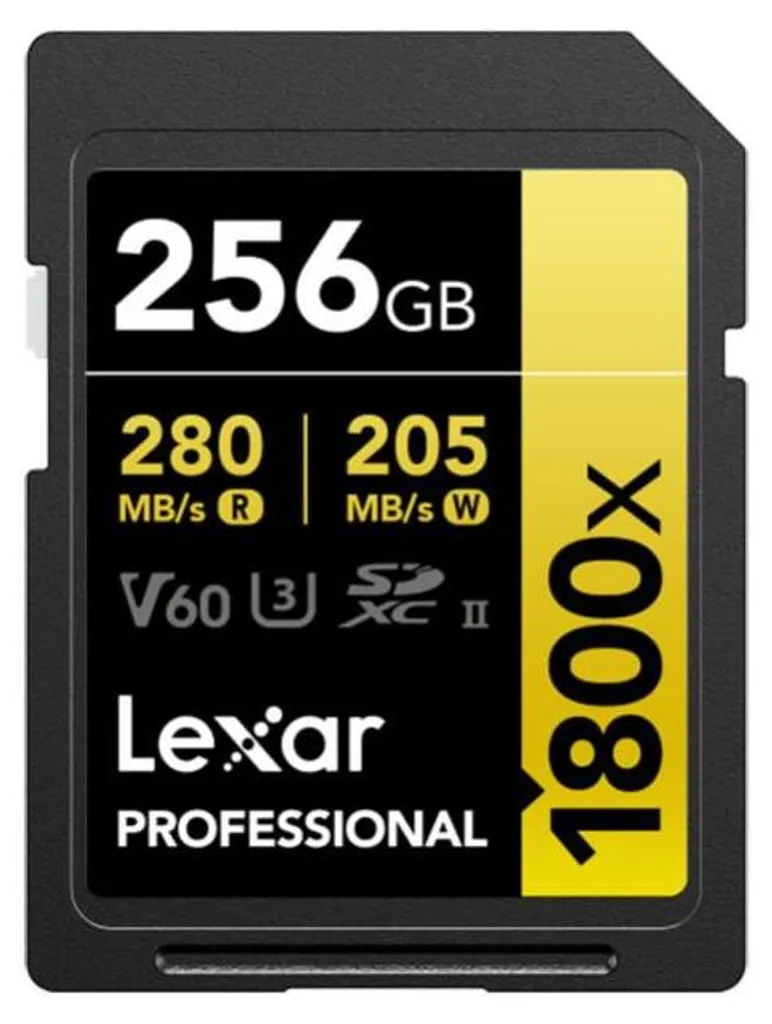 Lexar SDXC 256 Go Carte Mémoire Grande Capacité Vitesse Classe 10 UHS-I